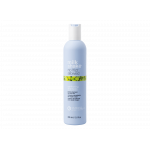 MILK SHAKE NO FRIZZ ALLOWED PERFECTING SHAMPOO 300 ML